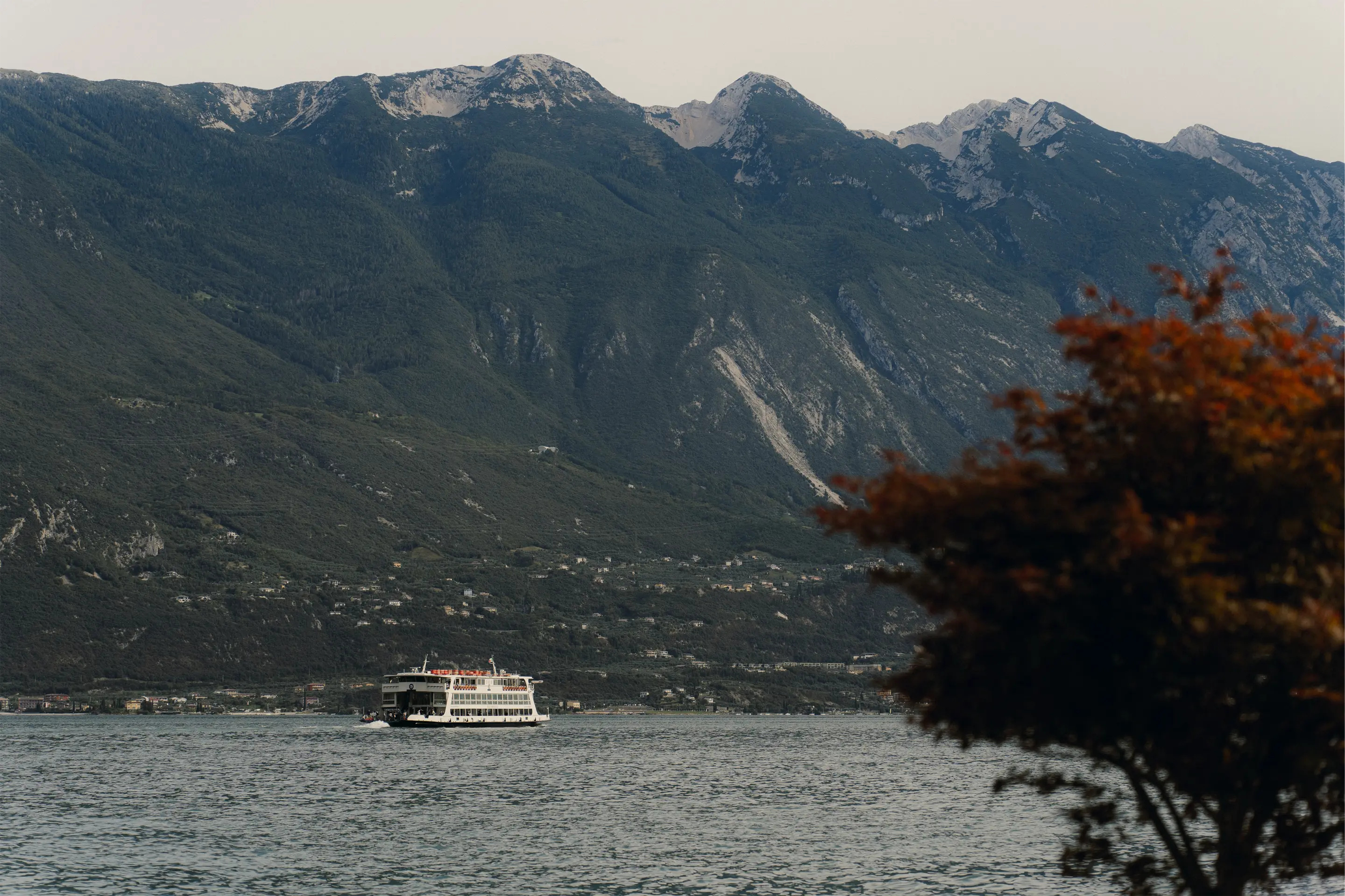 Sofia & Daniel